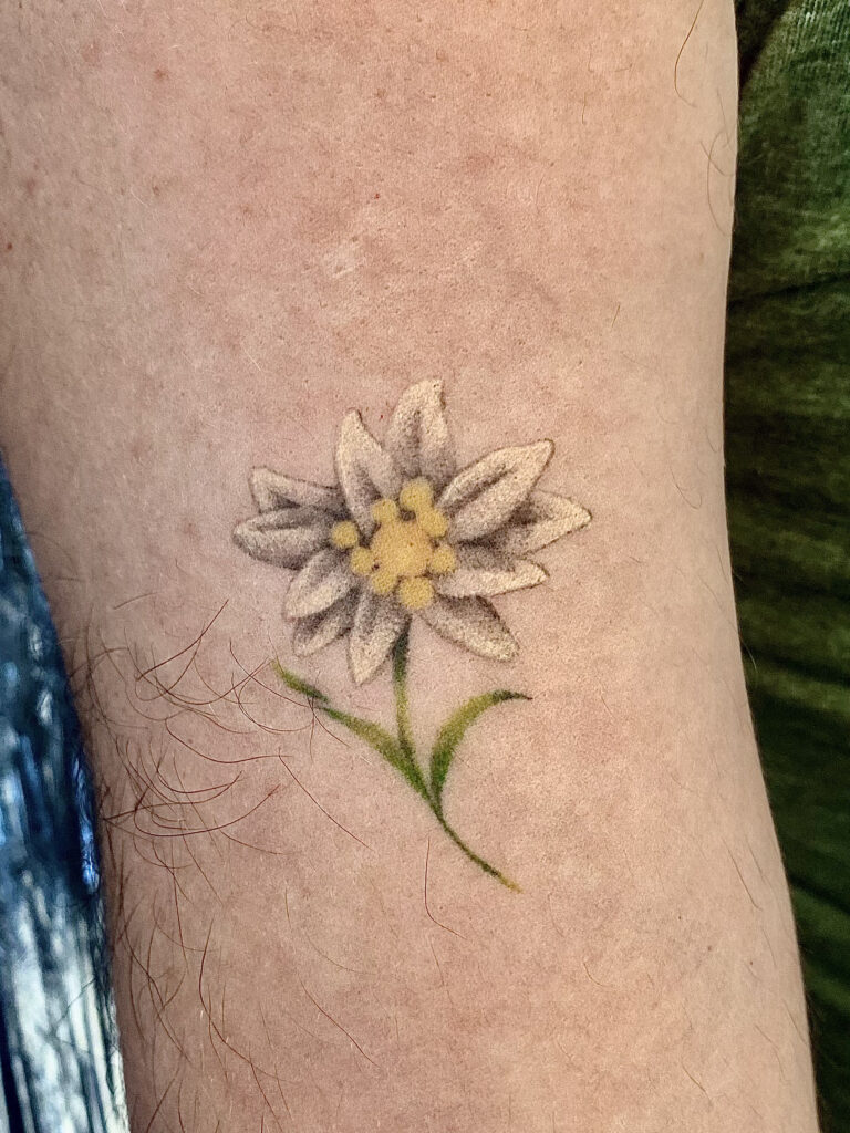 colourdaisyhealedtattoo