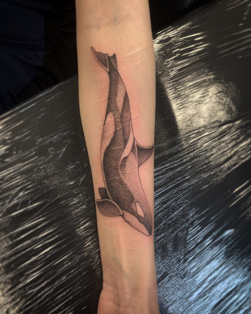 finelineorcatattoo