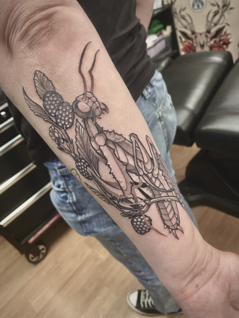 prayingmantisblackberrytattoo